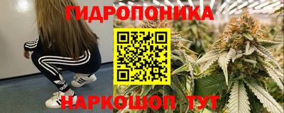 хмурый Краснознаменск