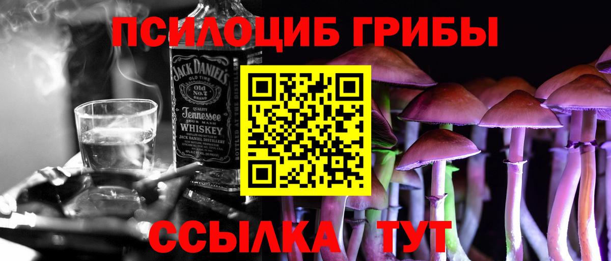 Псилоцибиновые грибы Psilocybine cubensis  Вход с VPN  Псилоцибиновые грибы мицелий  Янаул 